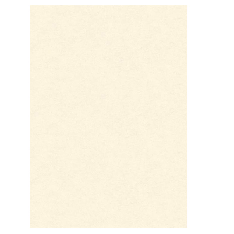 BLISTER 10 DIPLOMI PERGAMENA 210x297mm 160gr neutro avorio KARTOS