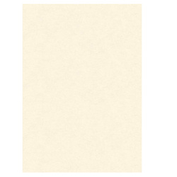 BLISTER 10 DIPLOMI PERGAMENA 297x420mm 160gr neutro avorio KARTOS