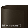 Conf.25 cartoncino Bristol Color 200gr 50x70cm marrone 75 Favini