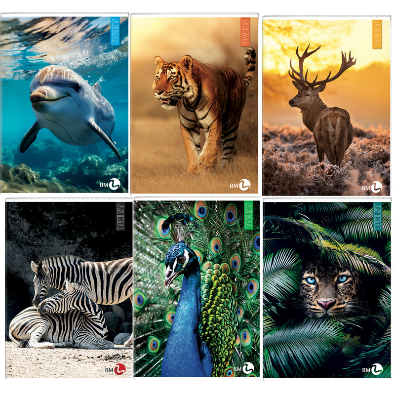 Maxiquaderno A4 40fg+2 80gr 5mm c/margine Animal BM