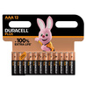 Blister 12 pile Duracell Plus 100 - AAA MiniStilo
