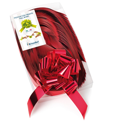 30 nastri strip metal 6870 31mm-Ã13cm colore rosso 07 Brizzolari