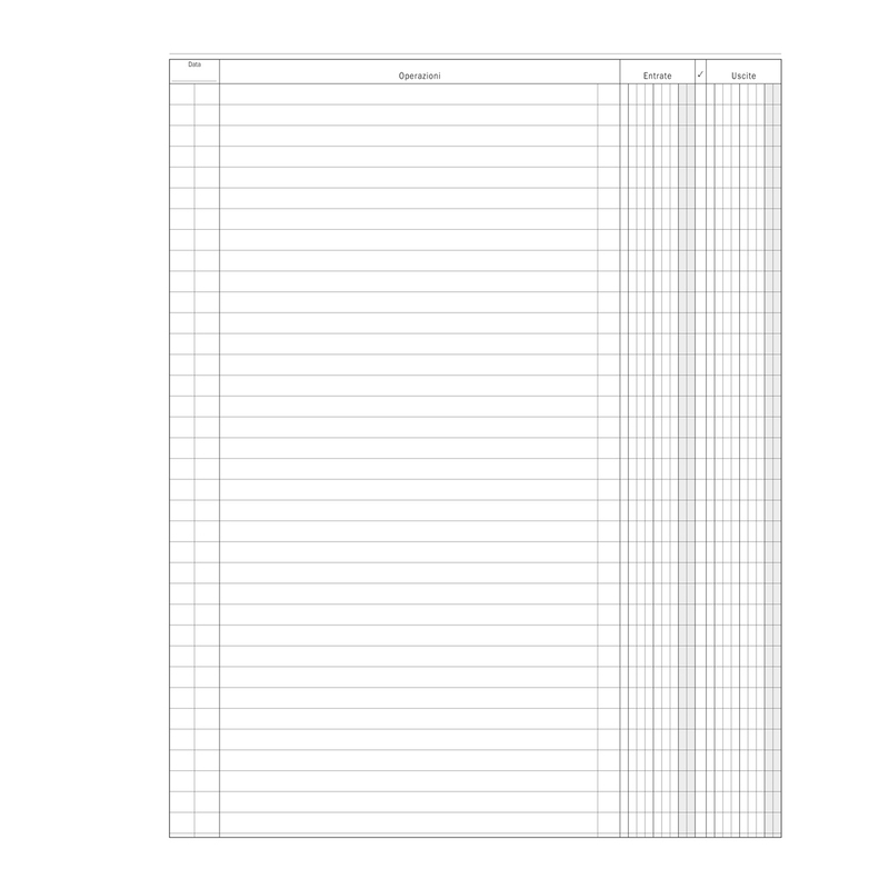 Registro Entrate-Uscite 100pag. 31x24