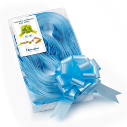 30 nastri strip 6800 31mm-D13cm colore azzurro 06 Brizzolari