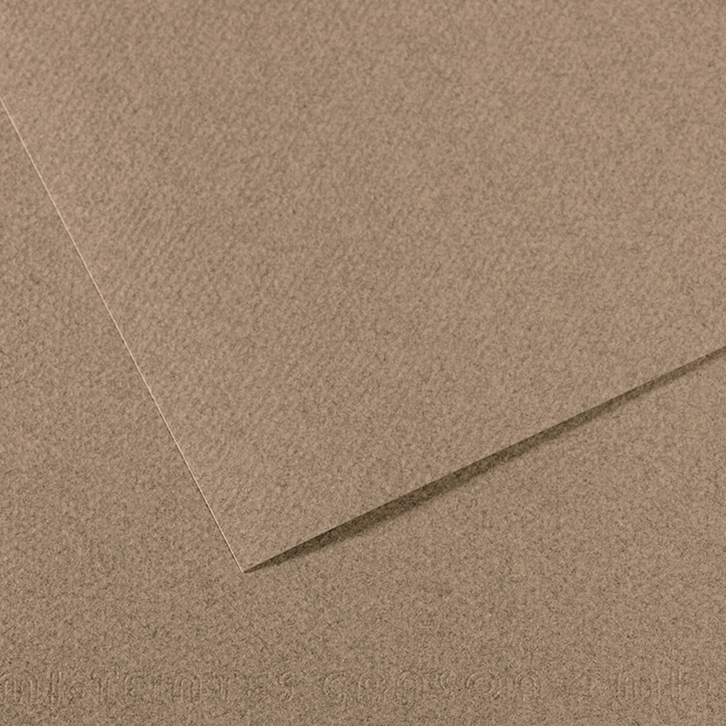 Foglio MI-TEINTES A4 cm 160 gr. 431 grigio screziato