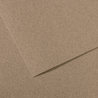 Foglio MI-TEINTES A4 cm 160 gr. 431 grigio screziato
