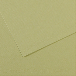 Foglio MI-TEINTES A4 160 gr. 480 verde mandorla