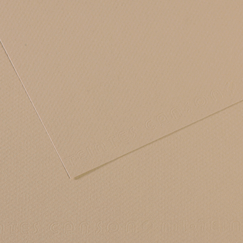 Foglio MI-TEINTES A4 cm 160 gr. 343 grigio trianon