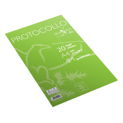 Fogli protocollo A4 4mm 20fg 80gr Pigna