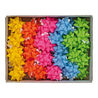 36 stelle nastro carta ecocolor 20mmxÃ9cm colori ass. primavera Brizzolari