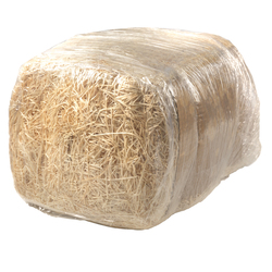 Paglietta legno 4