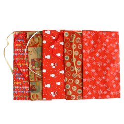 Sacchetto carta c/nastro raffia 36x50cm fantasie natale assortite Sadoch