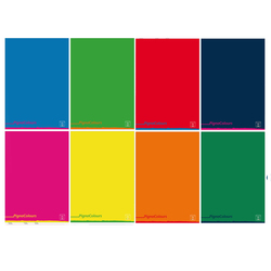 Maxiquaderno A4 80gr 40+2fg 5mm Pigna Colours