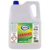 Ammoniaca classica tanica 5L Amacasa