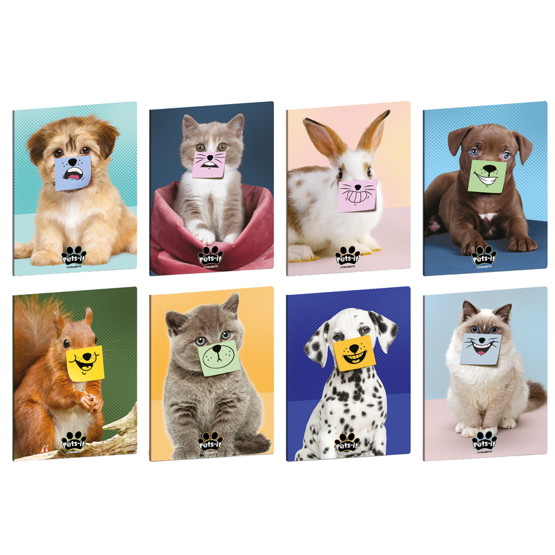 Maxiquaderno A4 20fg+1 80gr 10mm Pets-IT Blasetti