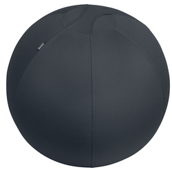 Palla Ergo Active da Seduta Anti Rotolamento 65cm grigio scuro Leitz