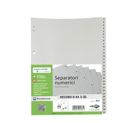 SEPARATORE NUMERICO 1-31 PPL 21X29