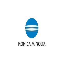 Toner Giallo Konica Minolta TN-49Y