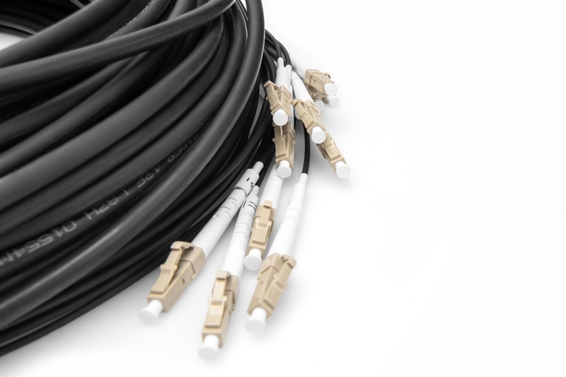 Cavo breakout universale in fibra ottica dotato di terminali, Multimode OM4, 12 fibre, LC/UPC - LC/UPC   30mt. colore nero