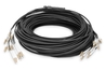 Cavo breakout universale in fibra ottica dotato di terminali, Multimode OM4, 12 fibre, LC/UPC - LC/UPC 100 mt. colore nero