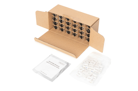 KIT 24 FRUTTI DI RETE CAT 6A SCHERMATI TOOLESS