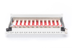 PANNELLO PATCH DESKTOP PER RETI CAT 6A CLASSE EA 12 PORTE COLORE GRIGIO DIGITUS