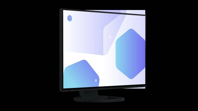 EIZO FlexScan EV2485 monitor 24" - NERO