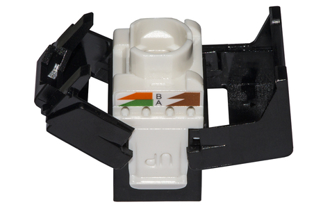 PRESA RETE KEYSTONE JACK RJ45 CATEGORIA 6 UTP TOOLESS COLORE NERO 180° CONTATTI DORATI 50 MICRON