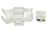PRESA RETE KEYSTONE JACK RJ45 CATEGORIA 6 UTP TOOLESS COLORE BIANCO 180° CONTATTI DORATI 50 MICRON