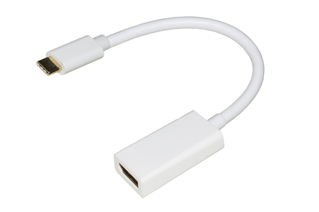 ADATTATORE USB-C / DISPLAYPORT FEMMINA