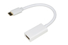 ADATTATORE USB-C / DISPLAYPORT FEMMINA