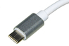 ADATTATORE USB-C MASCHIO - HDMI® FEMMINA