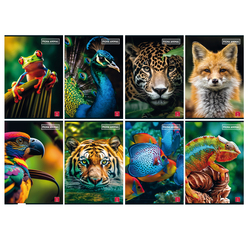 Maxiquaderno A4 80gr 40+2fg 4mm c/margine Animal Pigna