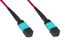 CAVO FIBRA OTTICA MPO/MPO FEMMINA/FEMMINA 12 FIBRE OM4 MT 2 TIPO B