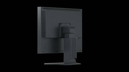 EIZO FlexScan Slim-Monitor S2133-BK monitor 21 - NERO