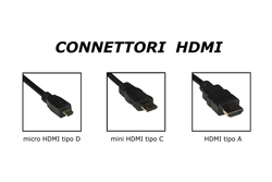 CAVO MICRO HDMI D MASCHIO - DVI 24+1 MASCHIO MT 2 DELOCK