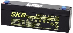 Batteria al piombo 12 volt2.3Ah misure 178x34x67
