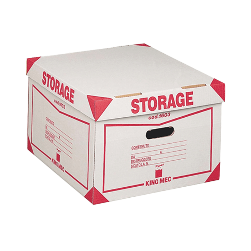 Contenitore STORAGE con coperchio (1603) 385x264x397mm REXEL