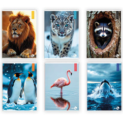 Maxiquaderno A4 40fg+2 80gr 1rigo Animal BM