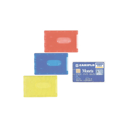 BUSTA PORTA CARDS 8