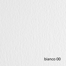 BLISTER 10FG CARTONCINO 70X100 220GR BIANCO 100 FABRIANO ELLE ERRE