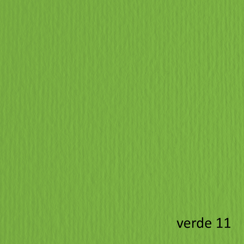 BLISTER 10FG CARTONCINO 70X100 220GR VERDE 111 FABRIANO ELLE ERRE