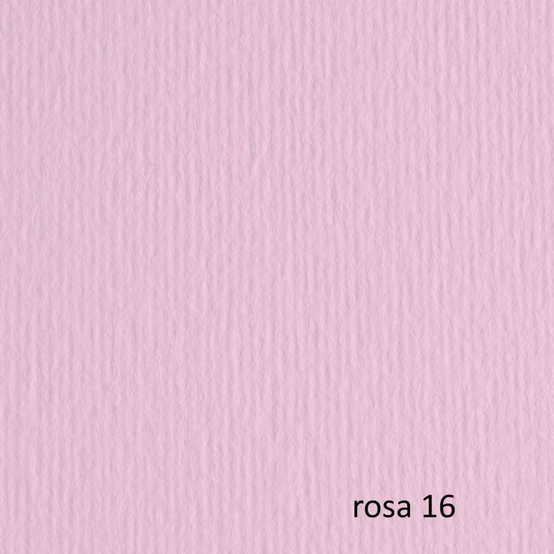 BLISTER 10FG CARTONCINO 70X100 220GR ROSA 116 FABRIANO ELLE ERRE
