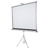SCHERMO A TREPPIEDE 4:3 175X133CM