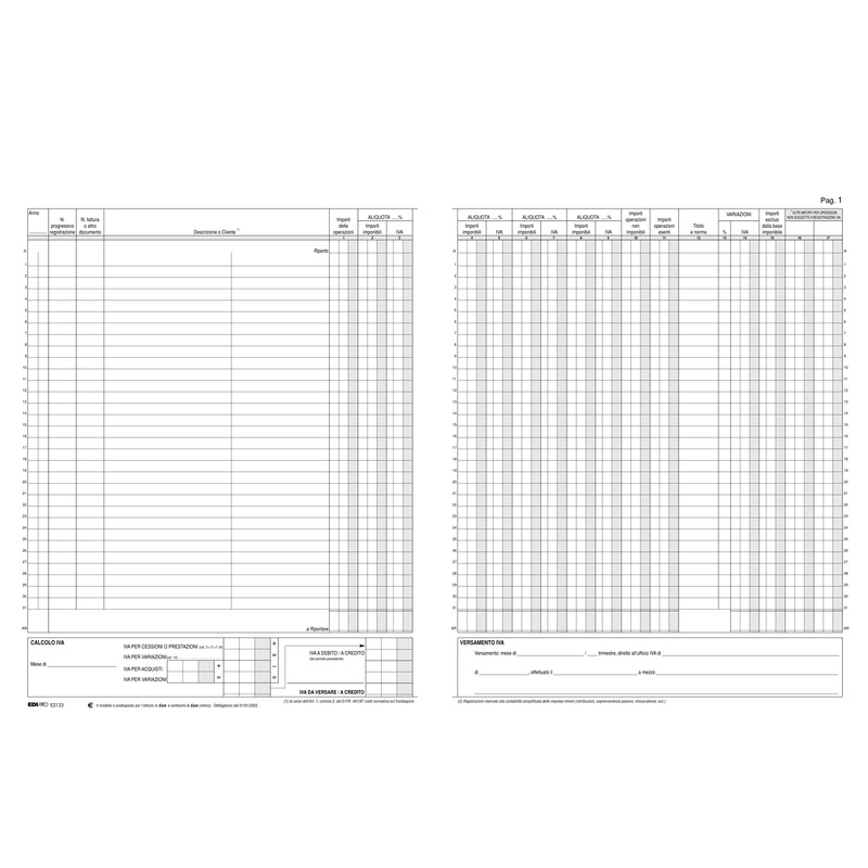 REGISTRO IVA FATTURE 31X24