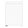 100 SCHEDE RIGATE VERTICALE 24X17CM E3393BL EDIPRO