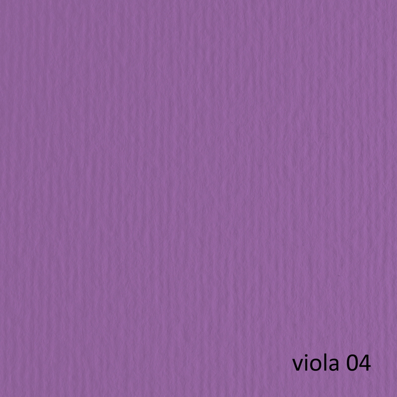 BLISTER 20FG CARTONCINO 50X70 220GR VIOLA 104 FABRIANO ELLE ERRE