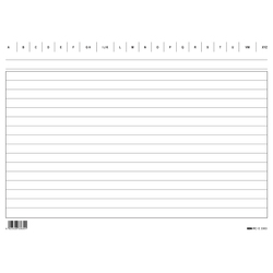 100 SCHEDE RIGATE 17X24CM ORIZZONTALE E3363BL EDIPRO