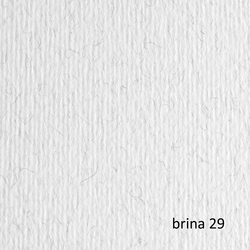 BLISTER 20FG CARTONCINO 50X70 220GR BRINA 29 FABRIANO ELLE ERRE