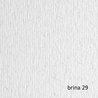 BLISTER 20FG CARTONCINO 50X70 220GR BRINA 29 FABRIANO ELLE ERRE